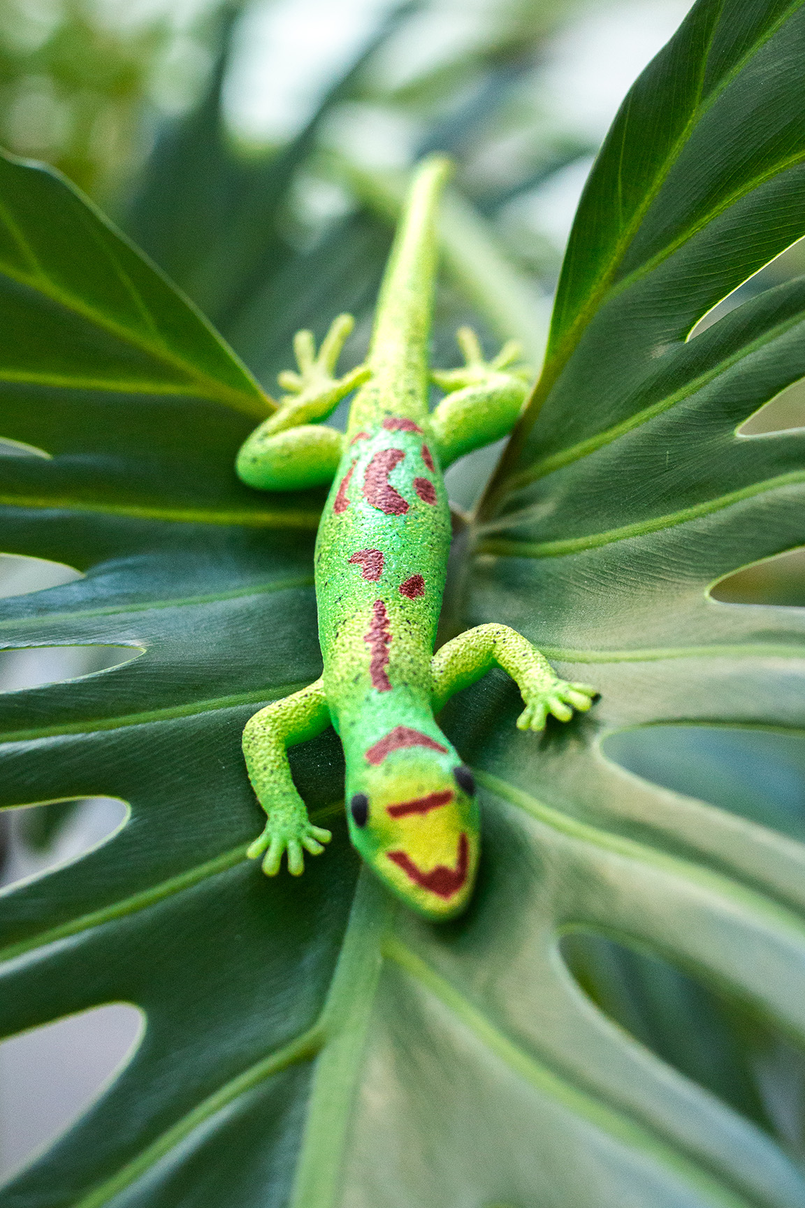 Goldstaub Taggecko - Phelsuma laticauda